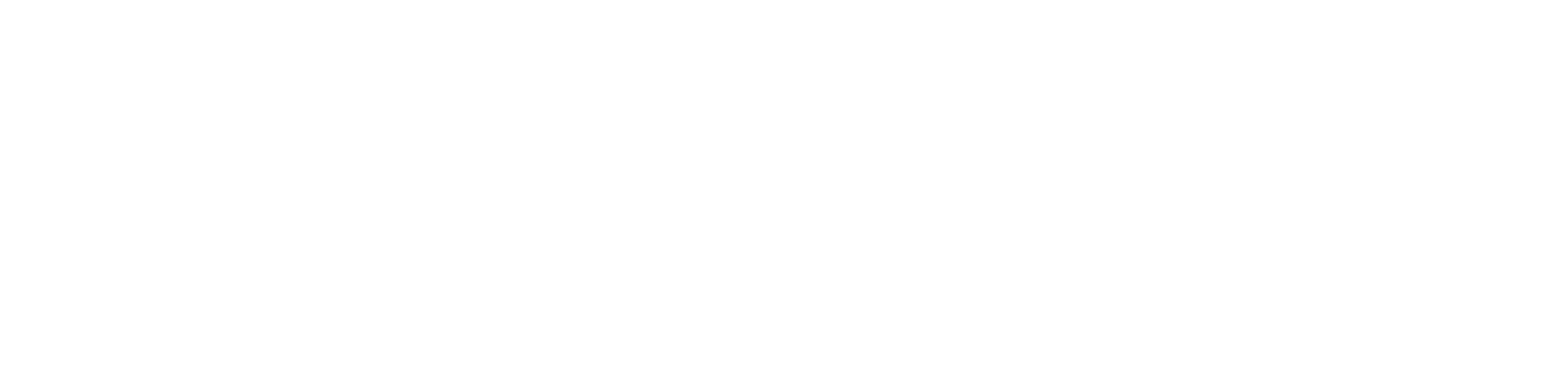 TT Machining_Horizontal Logo_White